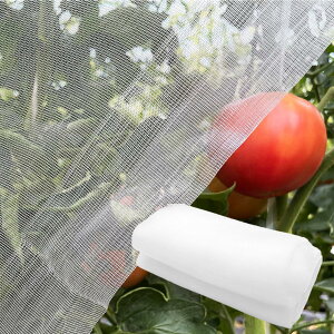 yzPhyxiul hlbg hlbg |plbg Q΍ hhb  ؍͔| ƒ؉    ʋC lbg F (2.5m×3m)