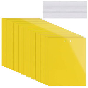 yzKALOLINNA  SV[g  QߊlS ʔS h S ȒPt Q ߒ h nG 쏜 ߊl K[fjO _ ͔| ƒ؉ CG[ (20×10cm,20)