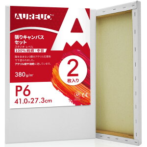 yzAUREUO LoX Zbg P6 (41cmX27.3cm)  100Rbg 2 S Gp |pGn G p ʉEGEANp