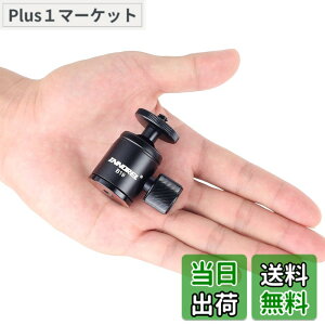 �y���������zINNOREL ���^ ���R�_�� �}�C�N�� �{�[���w�b�h ���~�j 360°��]�� �p�m���}�_�� �R���p�N�g 19MM�{�[���a ��ʌa27MM �ω׏d3KG ���y�� �A���~�� �J���� ���C�g �X�^���h �O�r �X�s�[