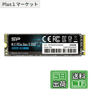 �y���������z�V���R���p���[ SSD NVMe �F�F�u���b�N�A�T�C�Y�F256GB