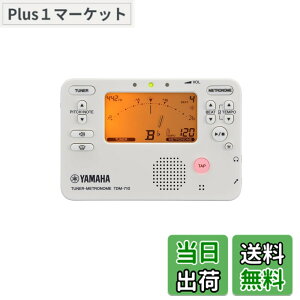 �y���������zYAMAHA TDM-710 �F�F�A�C�{���[
