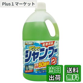 【送料無料】プロスタッフ(Prostaff) カーシャンプー 色：アワアワシャンプー