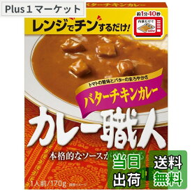 【送料無料】江崎グリコ カレー職人 サイズ：170グラム (x 10)