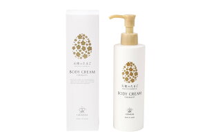 yzVĝ܂ {fBN[200g h }^jeB {fBN[  Dw ێ Xgb` TCYF200O (x 1)