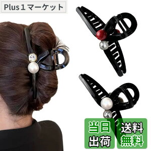 �y���������z�w�A�N���b�v �傫�� ��������Ƃ܂� 2�Z�b�g�A�w�A�A�N�Z�T���[�A��l�����A�w�A�L���b�`�A�������A�����߃N���b�v (�T���S) �F�F�T���S�A�T�C�Y�FB0DF1WFYPL