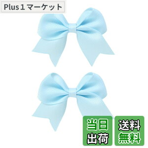 �y���������zGFun ������ ���{�� ������ �q�� �`�A 2�Z�b�g �N���b�v �w�A�A�N�Z�T���[ �o���b�^ �� ������ ������ ���\�� ���� �m�� �F�F�X�J�C�u���[