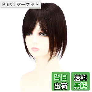 �y���������zHIYE �����E�B�b�O �l��100% ���~�[�w�A ����A�� ��×p �L�͈� �����ڎ��R �{�����[���A�b�v ���f�B�[�X ���� ���� �����B�� �ʋC�� �����ȒP ���ё΍� �w�A�s�[�X �����p 12x13cm 