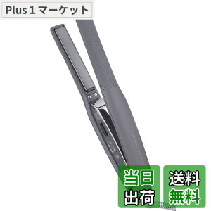 �y���������z�e�X�R�� �w�A�A�C���� �X�g���[�g�A�C���� �v���e�N�g�C�I�� 15mm �C�O�Ή� ���x����/���b�N/�������[�@�\ ����OFF �J���b�N NIS300A ���N�����v���O Nobby by TESCOM �F�F�X���[�L�[