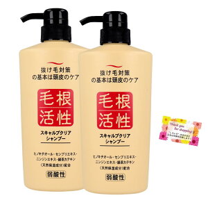 yzэ XLvNA Vv[ ё΍ _ Ff tbV}̍ 550mL y2Zbgz