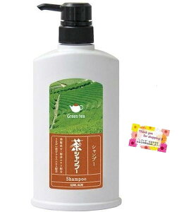 yzyu₩ȗΒ̍ŃbNXz Vv[ 4̍YΒtGLX ̎IC AGx̓VRێz 500mL TCYF500~bg