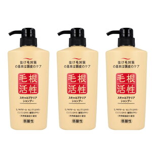 yzї\h Vv[ XLvNA Vv[ 550mL × 3 э TCYF550ml