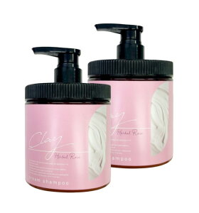 yzNCN[Vv[ 450g n[o[Y̍ 2{Zbg TCYF450O