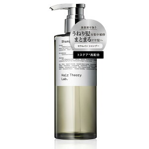 yzHair Theory Lab ZCVv[ ZA etz ێ C _[WPA ˂  pT c wAZI[{ 300ml