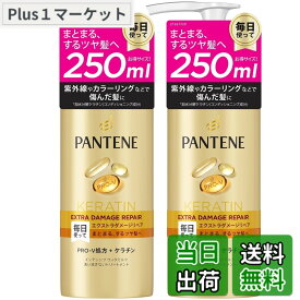 【送料無料】パンテーン 洗い流さないトリートメント 大容量 250mLx2個 エクストラダメージリペア インテンシブヴィタミルク 色：ダメージ(大容量)、サイズ：2個