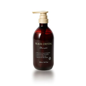 yzubNNX^ Vv[bw}`×YŕC _ t[eBt[̍ {y|v{́Elւz FFubNATCYF500ml