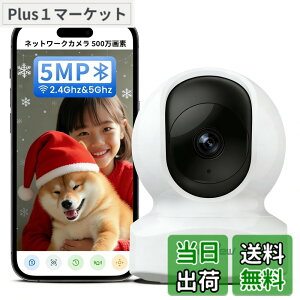 �y���������zWansview �F�F5MP���E�펞�^��A�T�C�Y�FA.�����J����