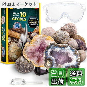 �y���������zNATIONAL GEOGRAPHIC Break Open Geodes�T�C�G���X�L�b�g �| �S�[�O���A�ڍׂȊw�K�K�C�h�A�f�B�X�v���C�X�^���h�t�� - ������N��̍z���w��n���w���D�ƂɍœK��STEM�T�C�G���X�M�t�g