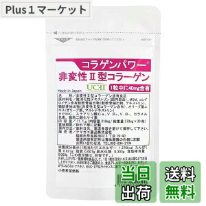 �y���������z��ϐ� 2�^ �R���[�Q�� UC-II �������v���C�X �R���Q���p���[ 30�� 30���� II�^�R���[�Q�� �T�v�� �R���p���[