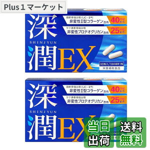 �y���������z�y�����2��z�[��EX �v���e�I�O���J���i1,500mg/60���j��ϐ� 2�^ �R���[�Q���i2,400mg/60���j���z�� �G �֐� �T�v�� 1��1�� 60���� �������� PRO GRADE FORMULA
