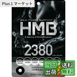 �y���������z�{�[�e�T���e���{���g���[�Y HMB 2380 �G�C�`�G���r�[ ��e�� ��40����