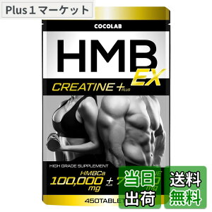 �y���������zHMB100,000mg �N���A�`�� ���m�n�C�h���[�g70,000mg �T�v�������g ���������y�p�[�\�i���g���[�i�[�ďC�zL-�J���j�`�� L-���W�� 450�� (x 1)