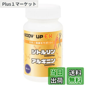 �y���������z�{�f�B�A�b�vEX