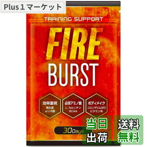 �y���������z�yFIRE BURST�z L-�J���j�`�� BCAA �T�v�� �^�u���b�g ���I�f�� 30����