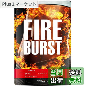 �y���������z�yFIRE BURST�z L-�J���j�`�� BCAA�z�� �T�v�� ���I�f�� 90����