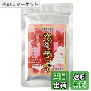 �y���������z���f�B���� �ԂԂǂ��t�X�b�L�� 30���� 60������ (300mgx60��) �V�R���� �Ԃǂ��t �h�{�@�\�H�i(�r�^�~��E)