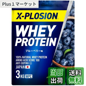 �y���������z�G�N�X�v���[�W���� �v���e�C�� 3kg �z�G�C�v���e�C�� �u���[�x���[�� WPC X-PLOSION ���{����
