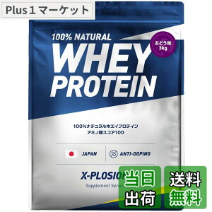 �y���������z�G�N�X�v���[�W���� �v���e�C�� 3kg �z�G�C�v���e�C�� �Ԃǂ��� WPC X-PLOSION ���{����