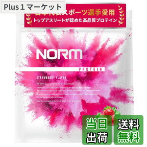 �y���������zNORM �m�[�� �z�G�C �v���e�C�� �l�H�Ö����s�g�p �X�g���x���[ 1kg 100���ȏ�̃g�b�v�A�X���[�g���p WPC WHEY PROTEIN �z�G�C�v���e�C�� ��������