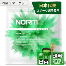 【送料無料】NORM ノーム ホエイ プロテイン 人工甘味料不使用 抹茶ラテ 1kg 国内製造 100名以上のトップアスリート愛用 WPC WHEY PROTEIN ホエイプロテイン