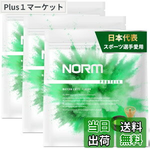 �y���������zNORM �m�[�� �z�G�C �v���e�C�� �l�H�Ö����s�g�p �������e 3kg 100���ȏ�̃g�b�v�A�X���[�g���p WPC WHEY PROTEIN �z�G�C�v���e�C�� ��������