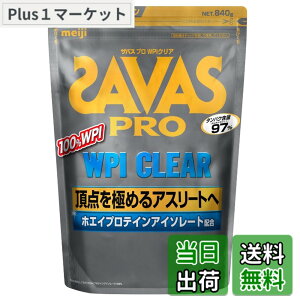 �y���������z�U�o�X(SAVAS) �v�� WPI �N���A 840g (�v�ʃX�v�[����) ����