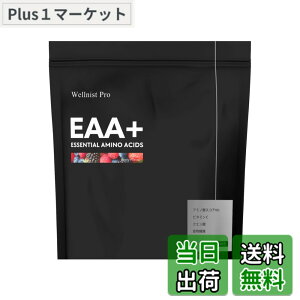 �y���������zWellnist Pro EAA+ �E�F���j�X�g�v�� EAA�v���X �x���[ 200g �i10gx20 ��j�������� �g���[�j���O ���N ���e
