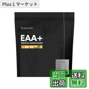 �y���������zWellnist Pro EAA+ �E�F���j�X�g�v�� EAA�v���X ������ 200g �������� �g���[�j���O ���N ���e