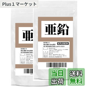 �y���������z�T�v���N���t�g ���� 10mg x 120�� ��2�܃Z�b�g �������^�u���b�g �y8������/��܎t�ďC�z �������� �T�v��