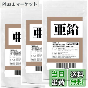 �y���������z�T�v���N���t�g ���� 10mg x 120�� ��3�܃Z�b�g �������^�u���b�g �y12������/��܎t�ďC�z �������� �T�v��