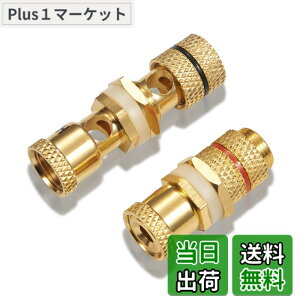 �y���������z�y�o�i�i�v���O���p ���X���X�zby �yWYVERN AUDIO�z �o�i�i�v���O������/���p�I ���v�≏���� ���X�̃��X WV-CHU-K ��1��1 (2��1�g)