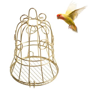 yzTVETE  a o[htB[_[ 쐶tB[_[  ݂艺 t@bg{[ o[htB[_[ X v[t ^P[W ̉a щO AoRj[Ap