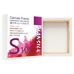 yzHANSILK LoX S10 LoX `  G{[h  ʁEANp 100mm*100mm 4Zbg