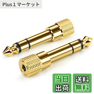 �y���������zAncable �C���z���W���b�N �ϊ� �v���O 2�{ �X�e���I�~�j�v���O 6.35mm 3.5mm �ϊ� �A�_�v�^ ���X�I�X �w�b�h�z�� �A���v �d�q�s�A�m �C���z���ȂǗp