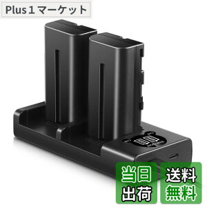 �y���������zENEGON Sony NP-F550/NP-F570�݊��o�b�e���[�i2�j2900mAh+USB�[�d�� �Ή�NP-F530/ NP-F550 /NP-F570/ NP-F330/ CCD-RV100/ RV200/ TR1 /TR940 /TR917 /CN-160 /CN-216 /CN-304 /YN 300 /V607u /V617u