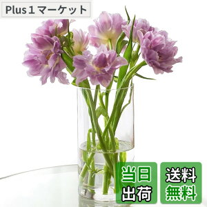 �y���������zWillingYou �ԕr ����Ȃ� ������ �t�����[�x�[�X �y�n�k�΍�E�q��/�y�b�g�Ɉ��S�z �K���X�̂悤�ȓ����� ������� ���k�͔| ��֑}�� ���d ���� �I�t�B�X �C���e���A (10cmx30cm)