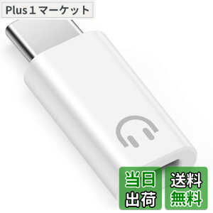 �y���������zleizhan �w�b�h�t�H���pLightning - USB-C�ϊ��A�_�v�^�A���C���R���g���[���ɑΉ��A iPhone 16/15�V���[�Y�AiPad�A���̑���Type-C�I�[�f�B�I�|�[�g�ɑΉ�����Lightning - USB-C�I�[�f�B�I�A�_