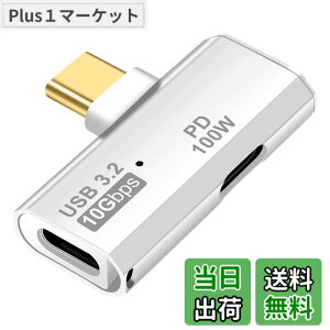 �y���������zleizhan 2-in-1 Type-C�ϊ��A�_�v�^�[ USB 3.2 Type-C+PD100W�[�d 2�|�[�g�R���o�[�^�[ 10Gbps�����f�[�^�]�� OTG�@�\�Ή� �X�}�[�g�t�H���A�^�u���b�g�A�m�[�g�p�\�R���ȂǂɍœK - �z���C�g