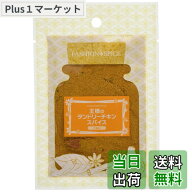 【送料無料】井上スパイス 王様のタンドリーチキンスパイス 15gx5個