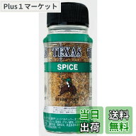 【送料無料】宮島醤油 テキサススパイス 120g 晩酌の流儀紹介品
